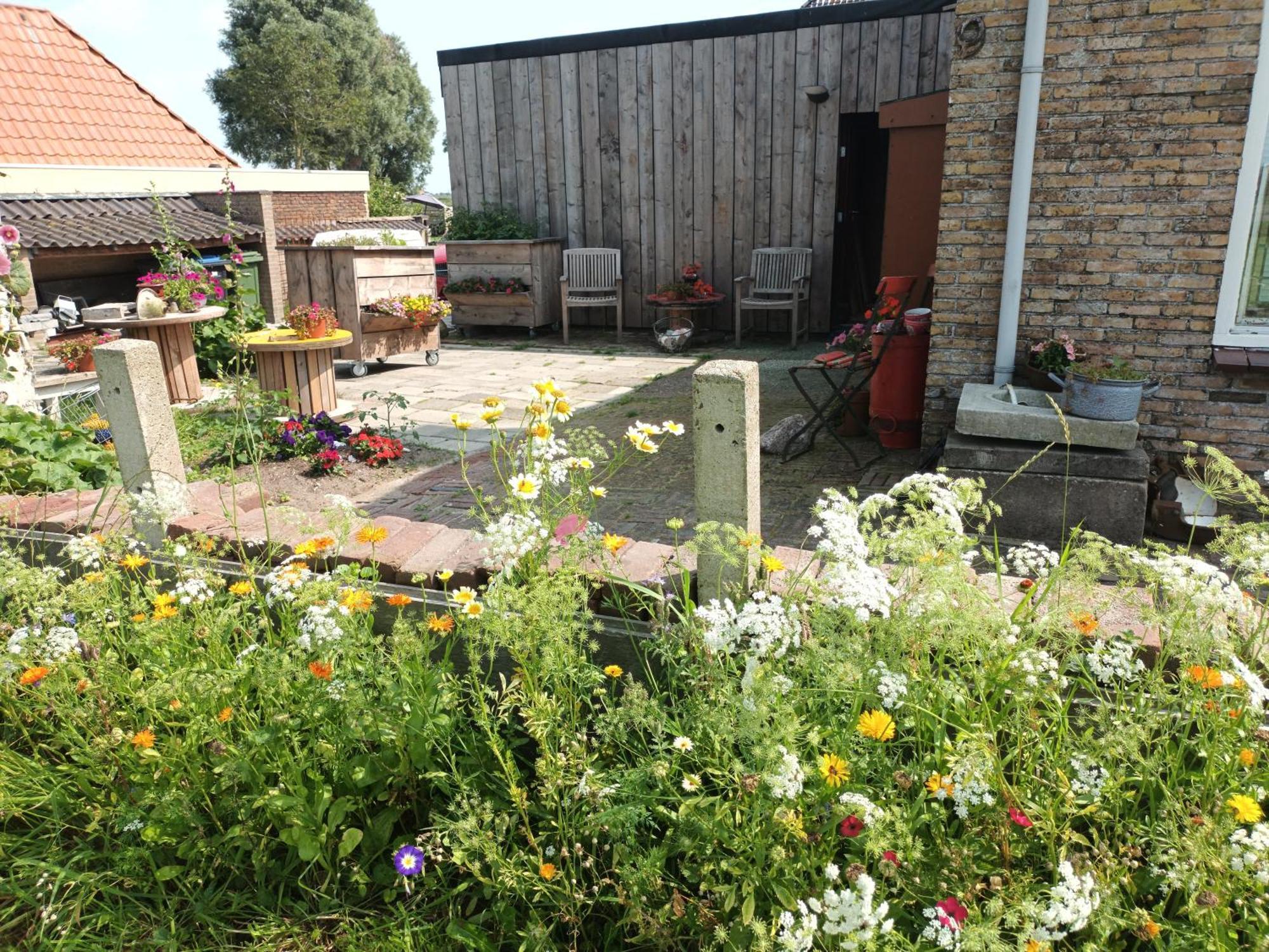B&B It Arbeidershuske Ferwoude ภายนอก รูปภาพ