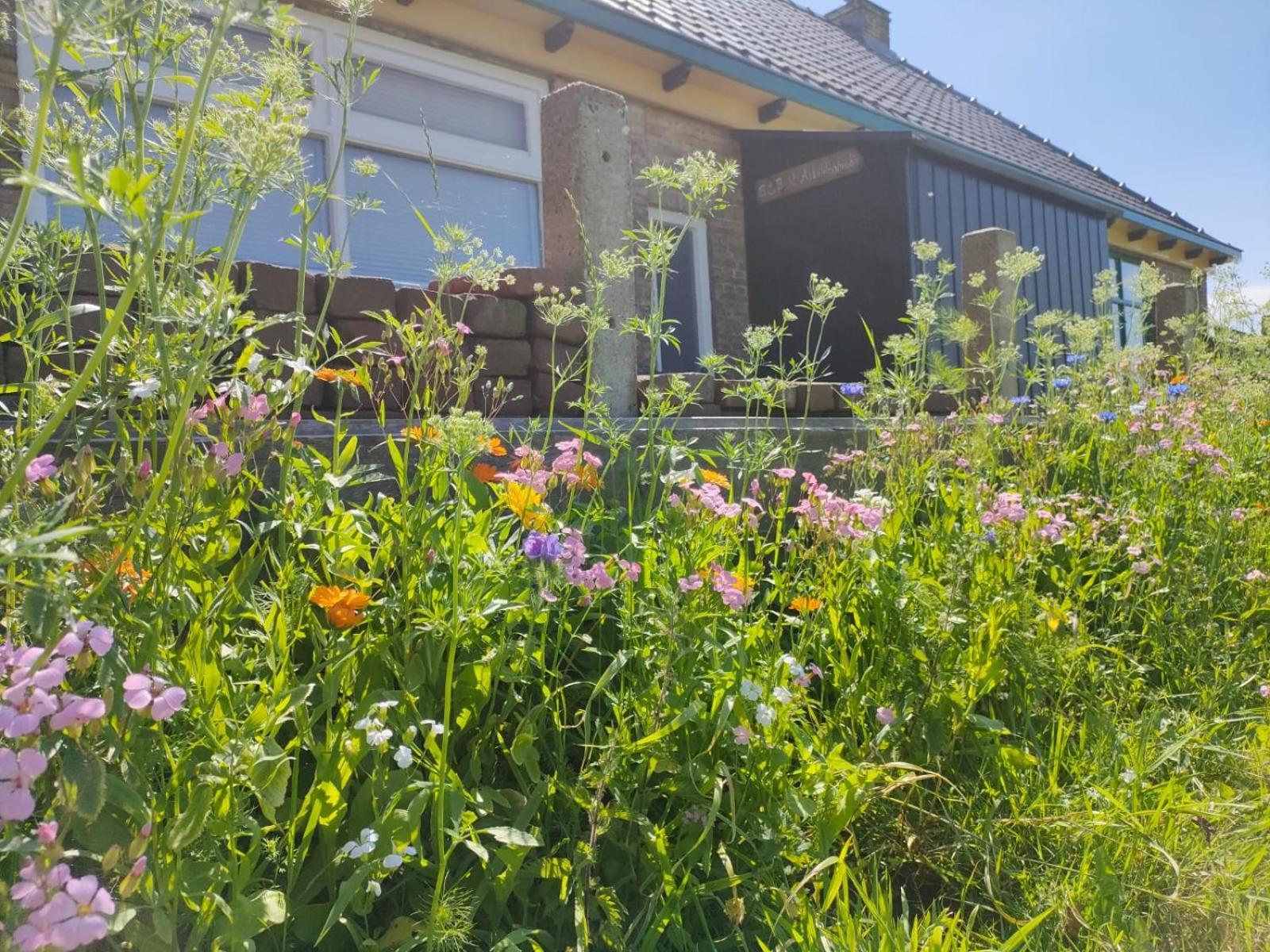 B&B It Arbeidershuske Ferwoude ภายนอก รูปภาพ