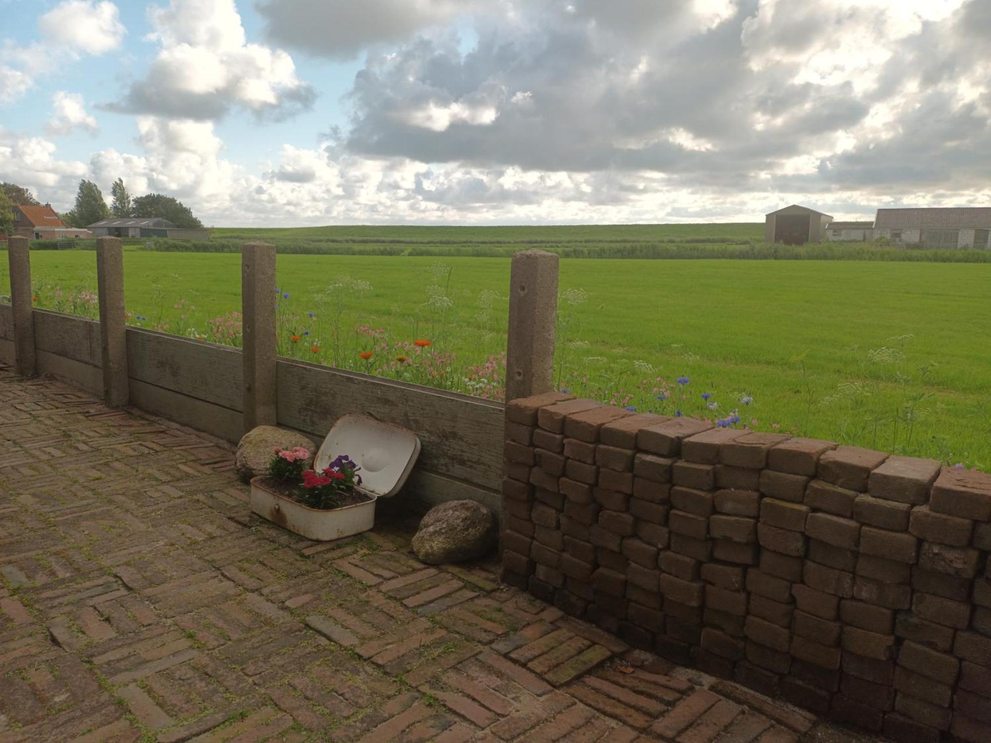 B&B It Arbeidershuske Ferwoude ภายนอก รูปภาพ