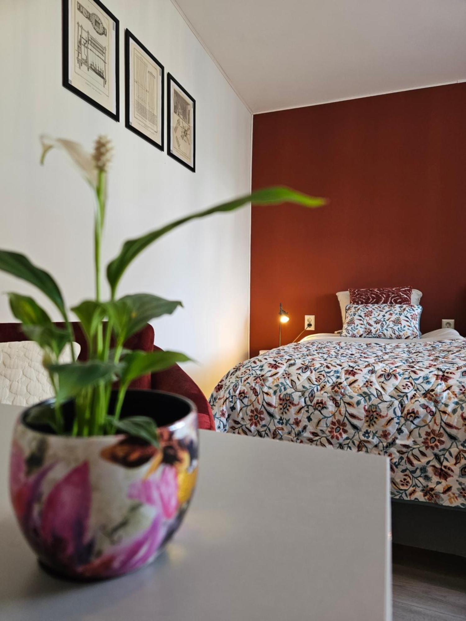 B&B It Arbeidershuske Ferwoude ภายนอก รูปภาพ